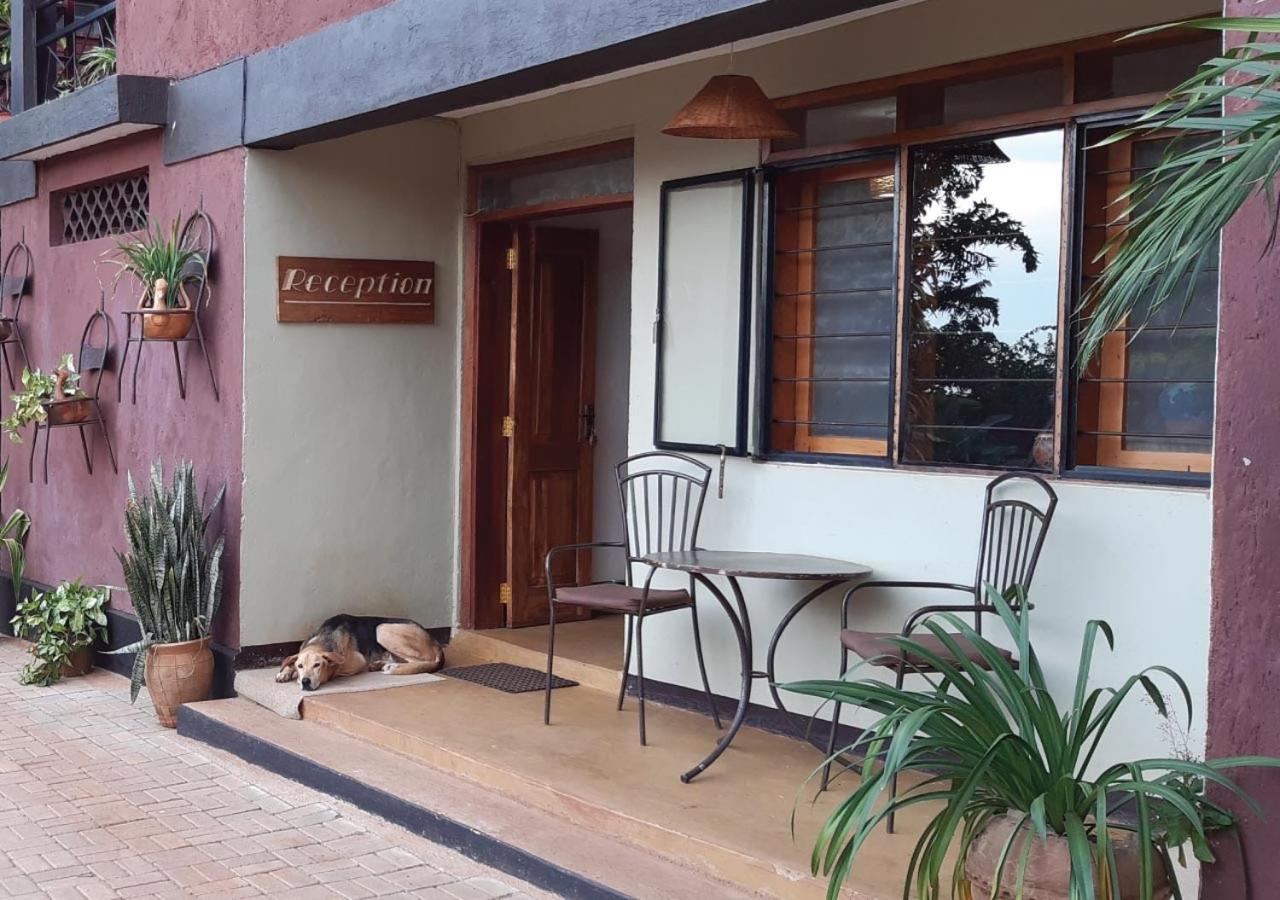 Homeonthenile Τζίντζα Εξωτερικό φωτογραφία